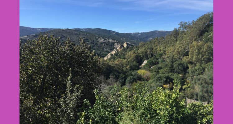 Rental Jimena 2 bed