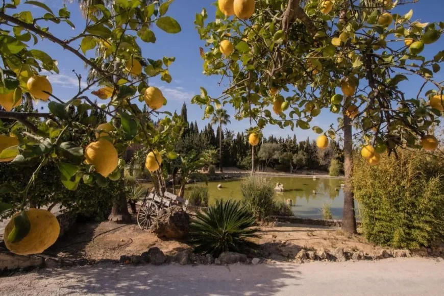 Country house en Arcos de la Frontera (Ref: R4094017)