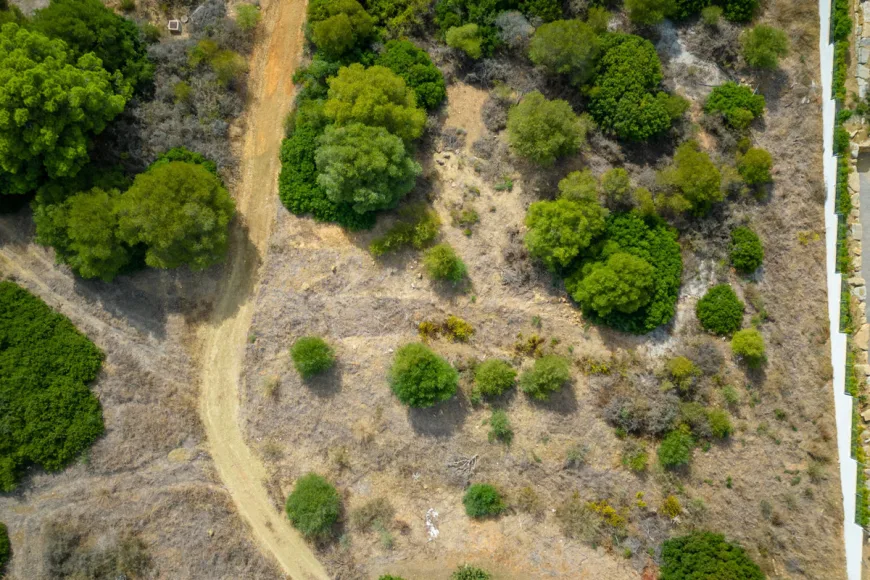 Land en Sotogrande (Ref: R4178830)