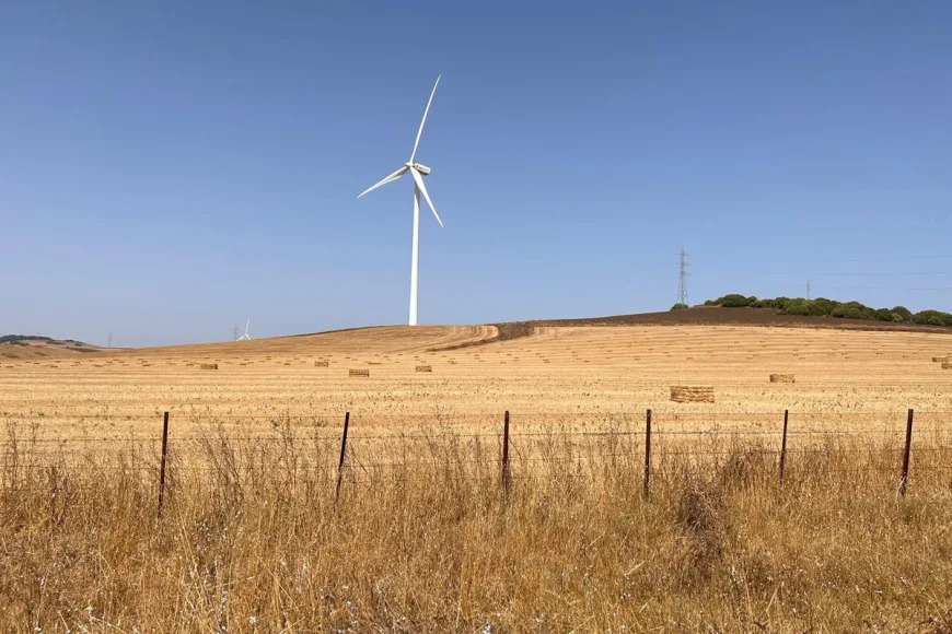 Land en Vejer de la Frontera (Ref: R4810516)