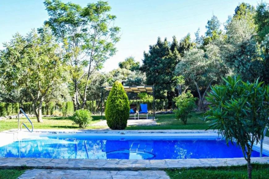 Commercial property in El Gastor (Ref: R4847956)
