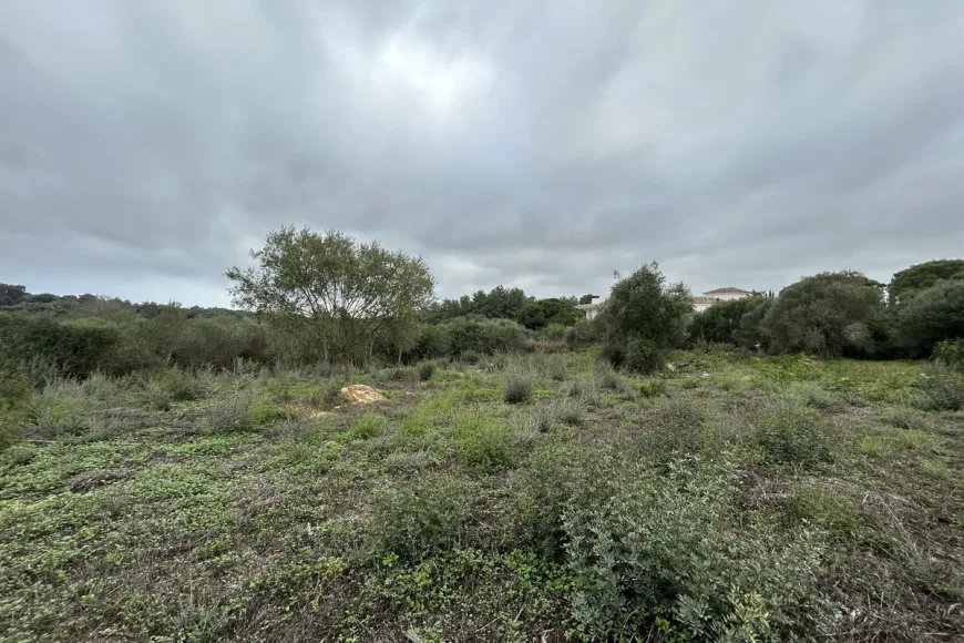 Land en Sotogrande Alto (Ref: R4880659)