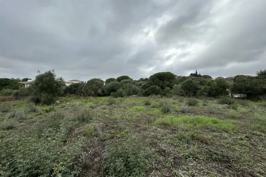 Land en Sotogrande Alto (Ref: R4880659)