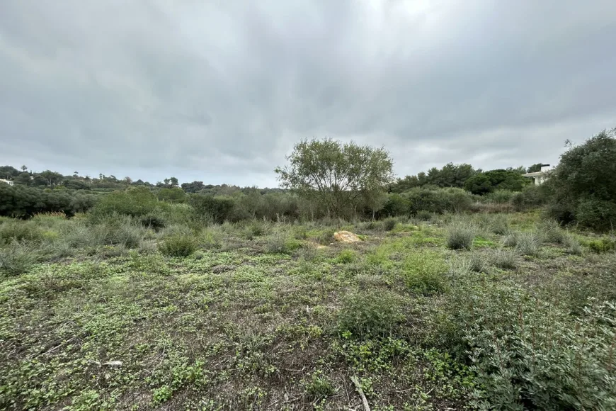 Land en Sotogrande Alto (Ref: R4880659)