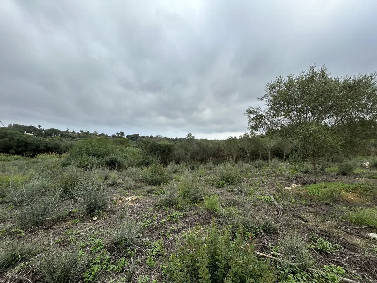 Land en Sotogrande Alto (Ref: R4880659)