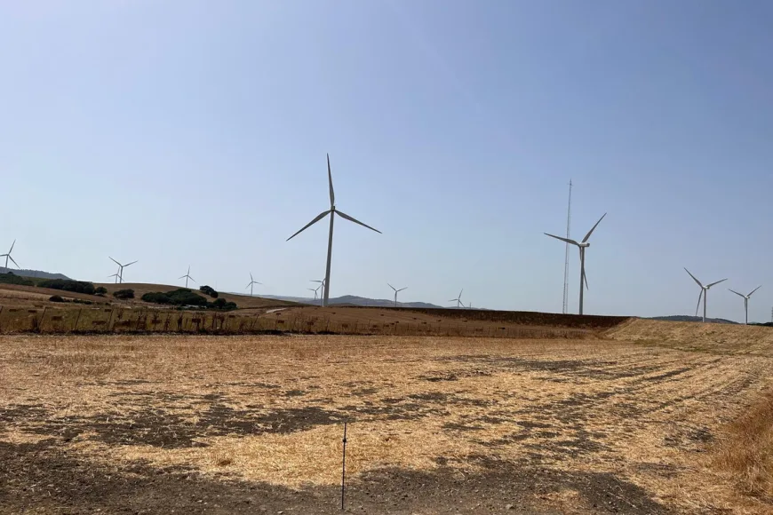 Land in Vejer de la Frontera (Ref: R5019682)