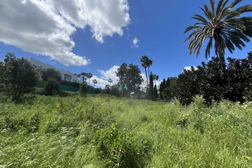 Land in Sotogrande Costa (Ref: R5066656)