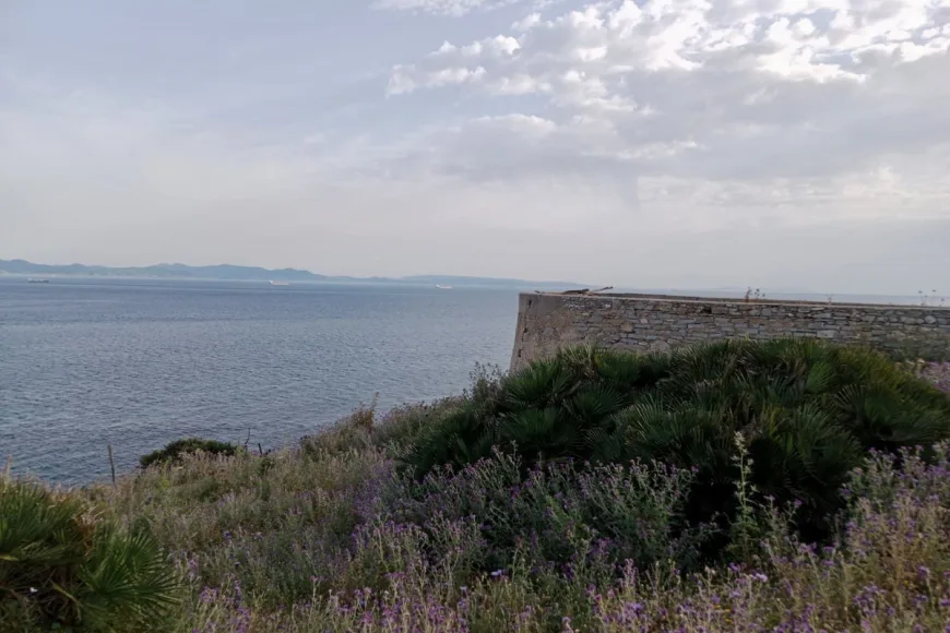 Land en Tarifa (Ref: R5073823)