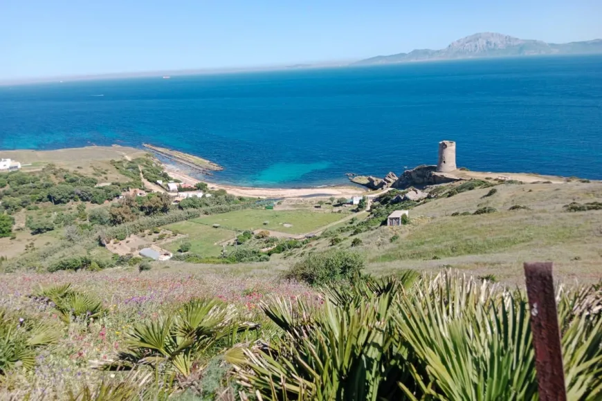Land in Tarifa (Ref: R5237368)