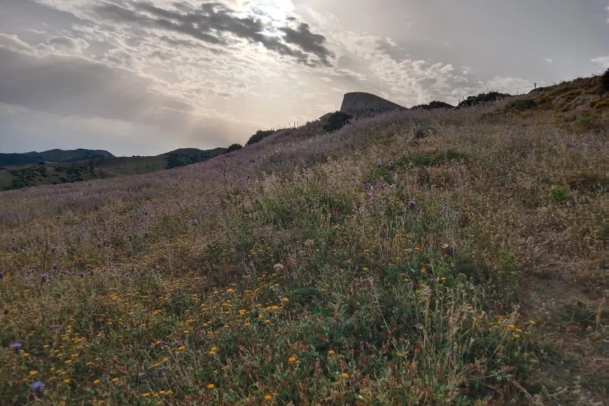 Land in Tarifa (Ref: R5237368)
