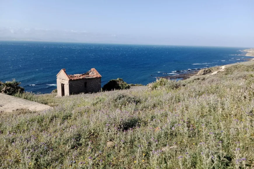 Land in Tarifa (Ref: R5237368)