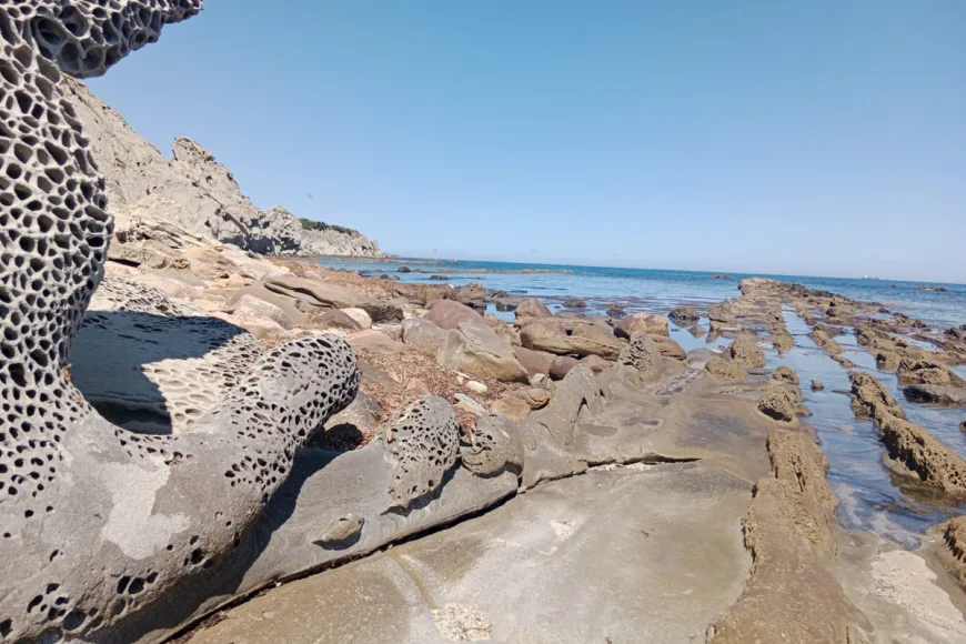 Land in Tarifa (Ref: R5346787)