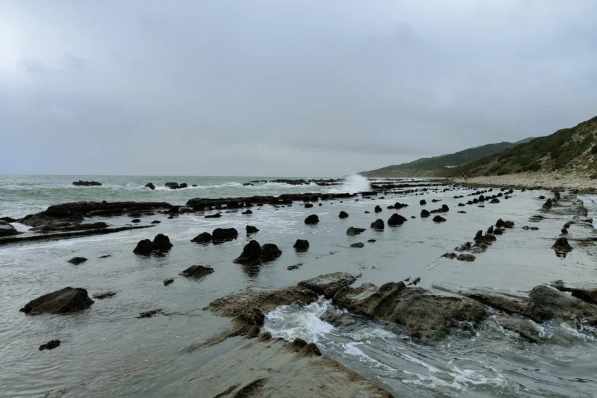 Land in Tarifa (Ref: R5346787)