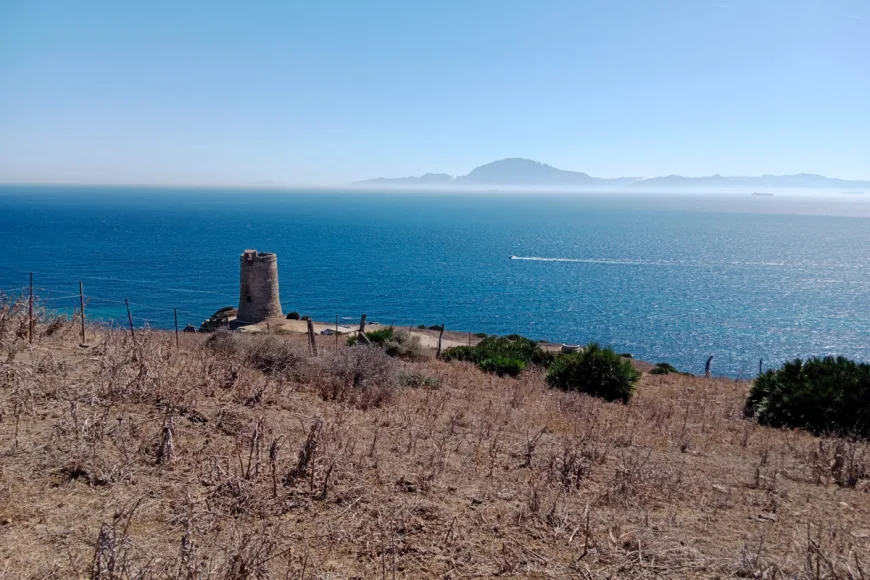 Land in Tarifa (Ref: R5346787)