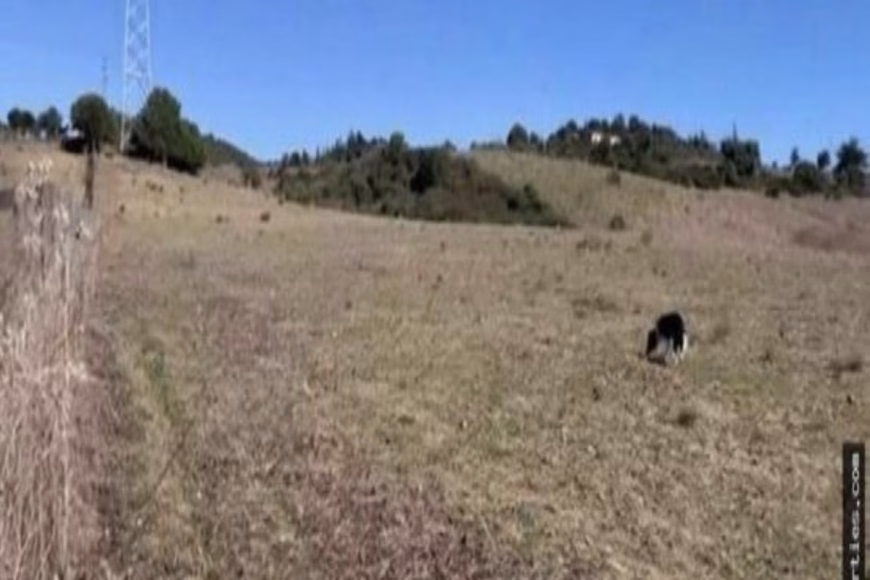 Land en San Martín de Tesorillo (Ref: R5356729)